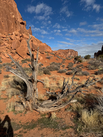 arches_030424_015