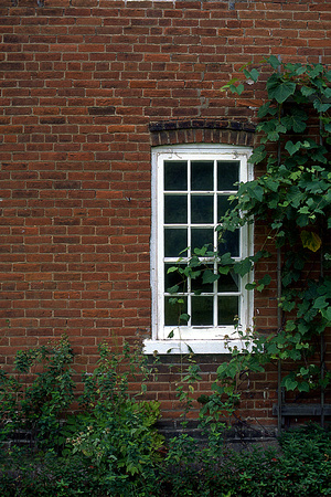Window and Wall