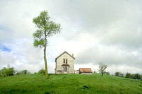 House and Tree