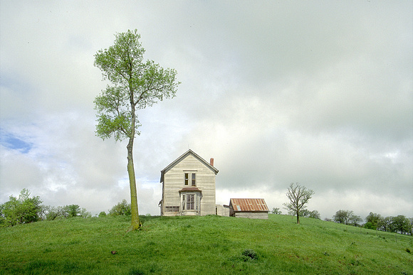 House and Tree